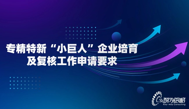 專精特新“小巨人”企業(yè)培育及復(fù)核工作申請(qǐng)要求.jpg