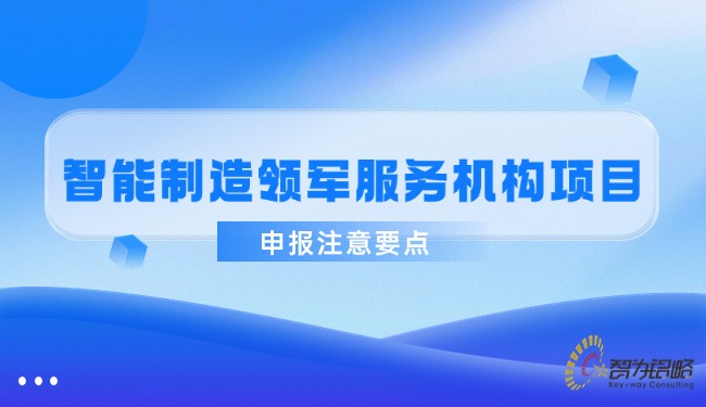 智能制造領(lǐng)軍服務(wù)機(jī)構(gòu)項(xiàng)目申報(bào)注意要點(diǎn).jpg